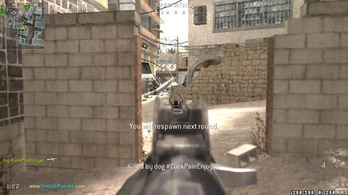 FPS3330011